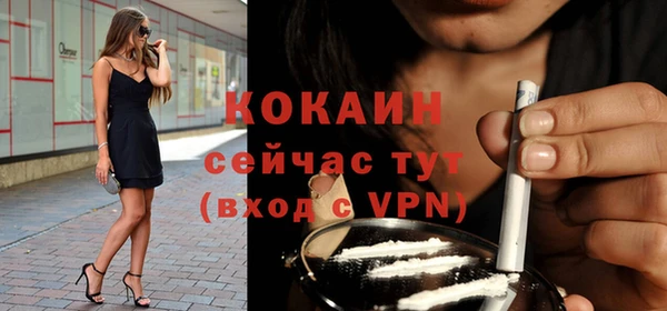гашик Аркадак