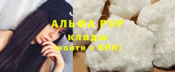 гашик Аркадак