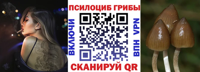 Псилоцибиновые грибы ЛСД  Изобильный 
