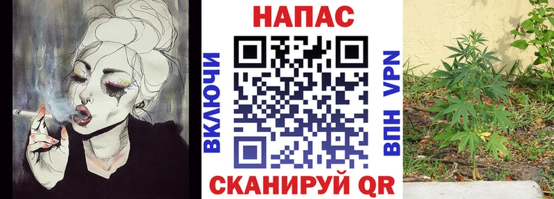 где найти наркотики  Изобильный  Бошки Шишки Bruce Banner 